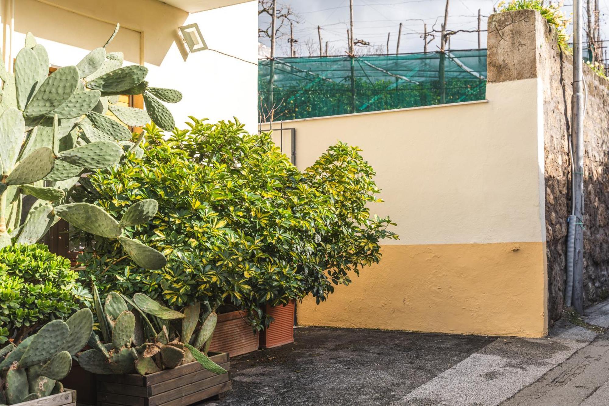 Flat * Sorrente