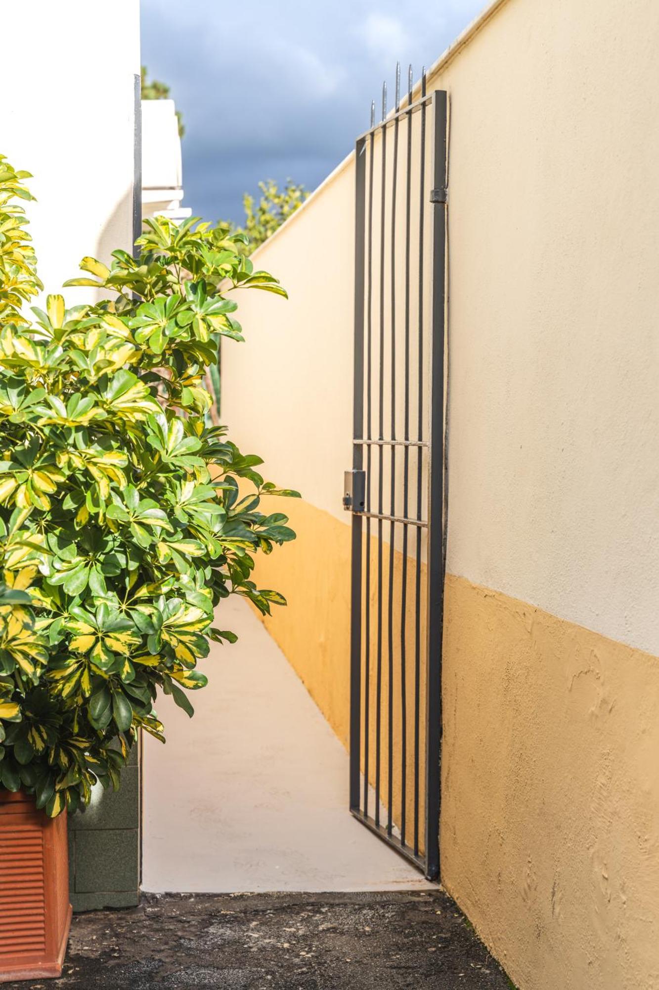 Apartment Flat